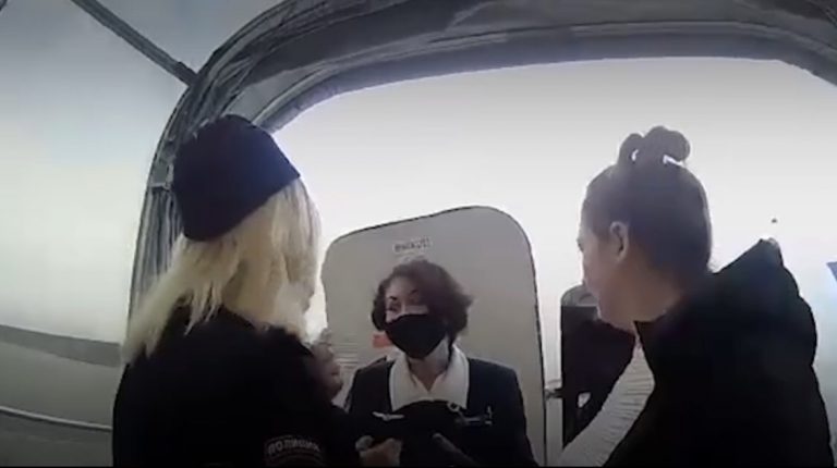Москвичка укусила стюардессу из-за того, что её не пустили в уборную