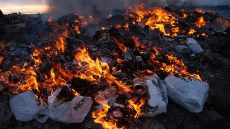 Предприятие в Химках оштрафовали за сжигание отходов