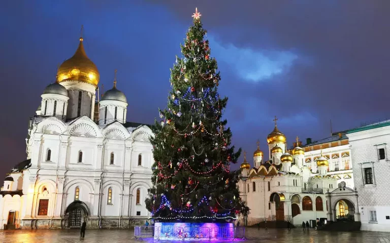 В Подмосковье нашли ель, которая украсит Кремль на Новый год