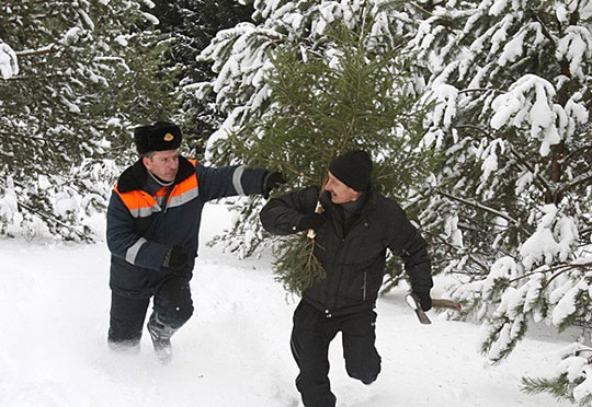 С 15 декабря в Подмосковье начнётся патрулирование лесов