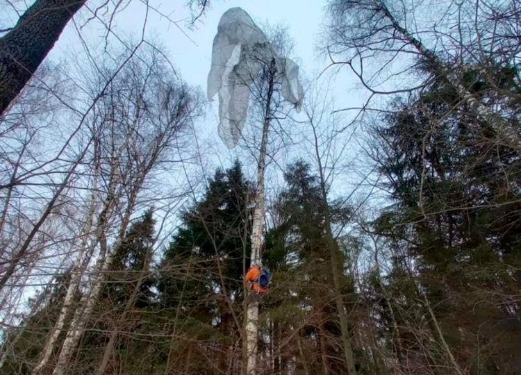 Спасатели сняли парашютиста с дерева в подмосковном Чехове