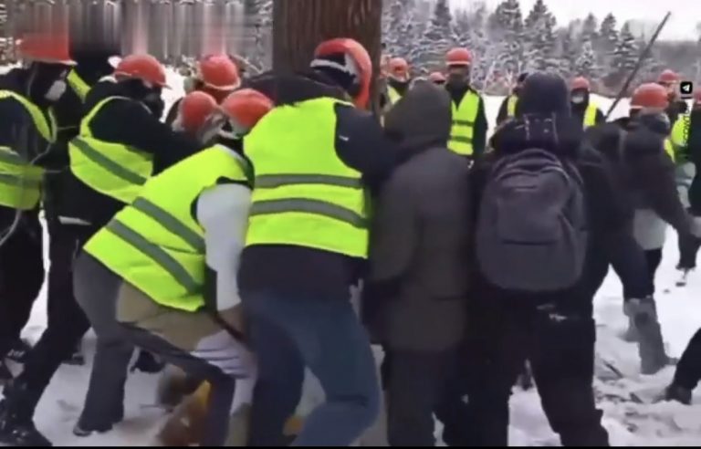 В Троицке произошла драка между активистами и рабочими из-за вырубки леса