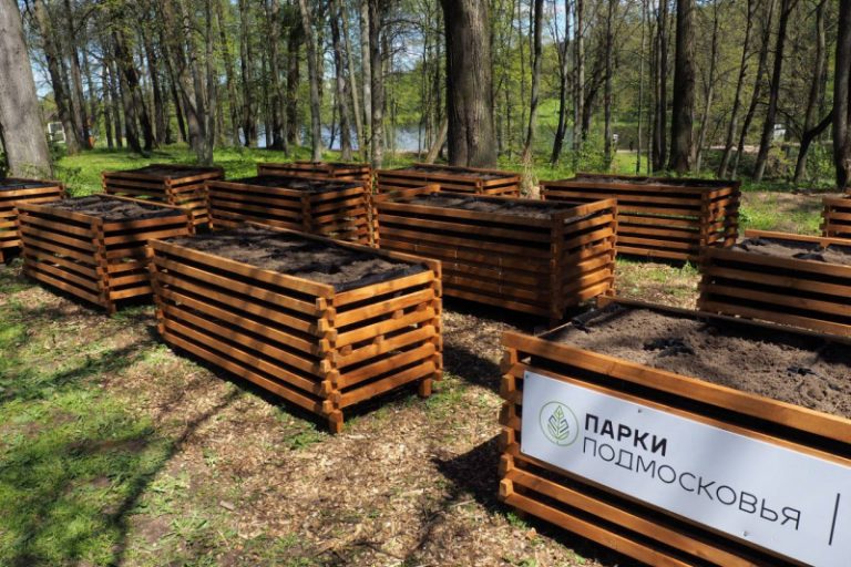 «Общественные огороды» появились в парках Московской области