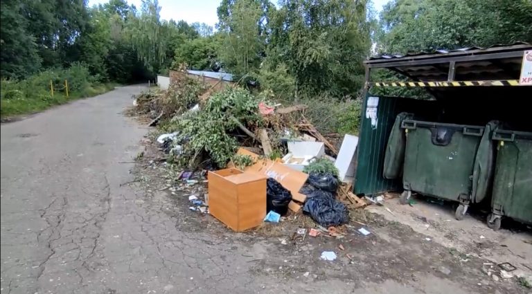 Несанкционированную свалку мусора устроили в Сергиевом Посаде