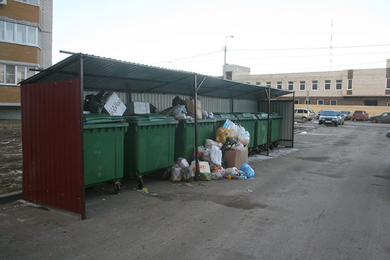Названы худшие округа Подмосковья по содержанию мусорных площадок