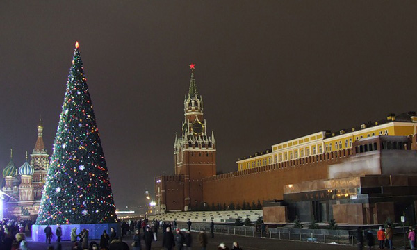 Главную новогоднюю ёлку страны нашли в Подмосковье